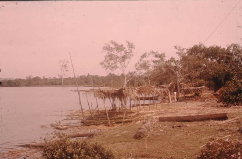 A body of water with trees and grass around it
Description automatically generated with medium confidence